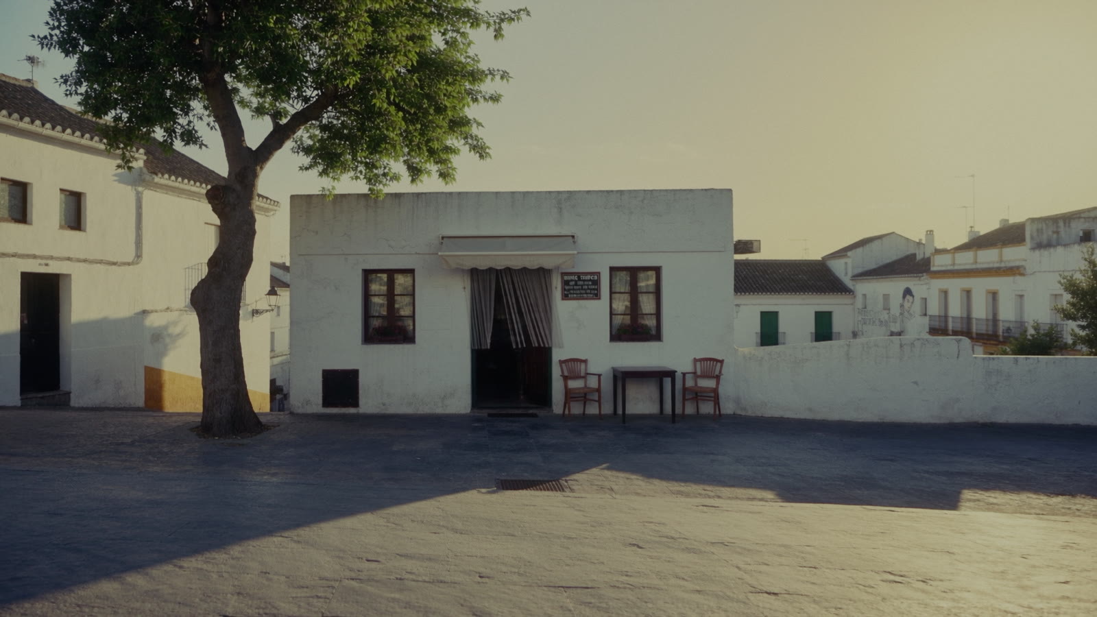 A whitewashed village square with a tree, under hard midday sun