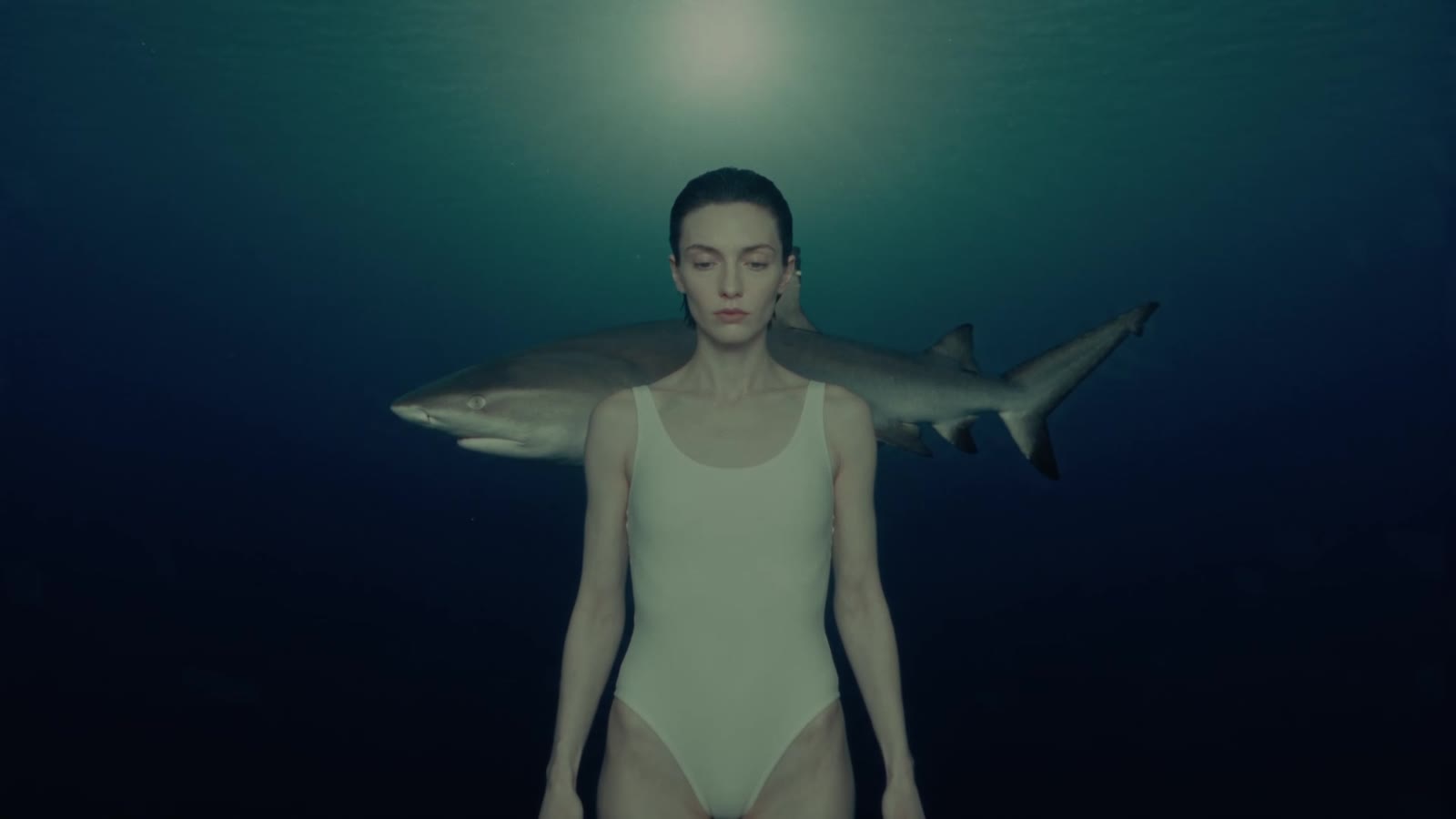 The woman standing underwater as a shark passes at her shoulder